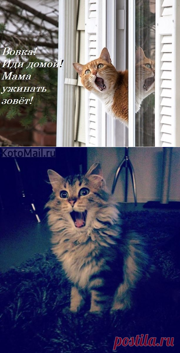 ГЛАШАТАЙ | KotoMail.ru