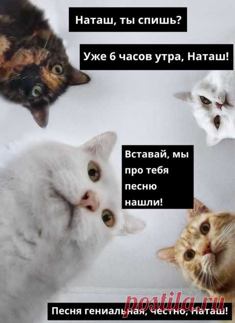 Наташ, вставай! Песня про тебя нашлась - гениальная! | Музыка. История, открытия, мифы | Яндекс Дзен