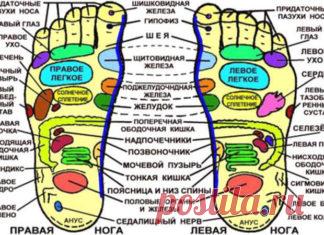 ТОЧКИ НА СТОПЕ И НАШИ ВНУТРЕННИЕ ОРГАНЫ!

Много столетий назад люди заметили интересный факт: те, кто много ходят босиком, обычно хорошо себя чувствуют и заметно здоровее остальных. На стопах человека находится более 70.000 нервных окончаний, образующими рефлексогенные зоны, которые связывают участки стопы с определенными внутренними органами, и с физиологическими системами