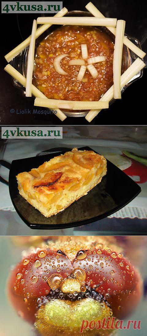 Письмо «Эзме (Ezme) толчёная овощная закуска. и другие материалы. Новое в Вашей подборке на Постила.ru» — Постила.ru — Яндекс.Почта