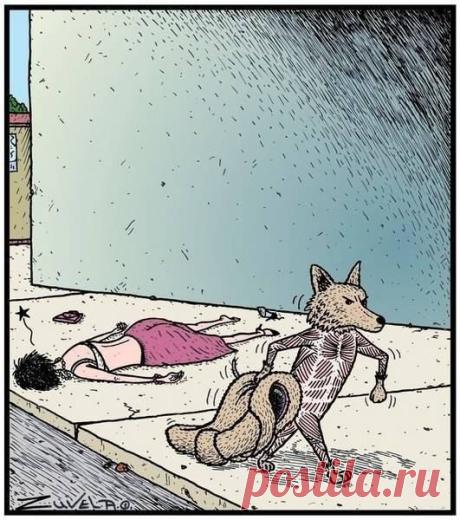 Новости
