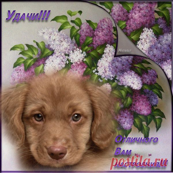 удачи...отличного настроения!!!