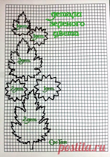 Светлана Тимашова