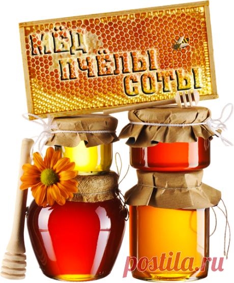 Клипарт "Мёд, пчёлы, соты"