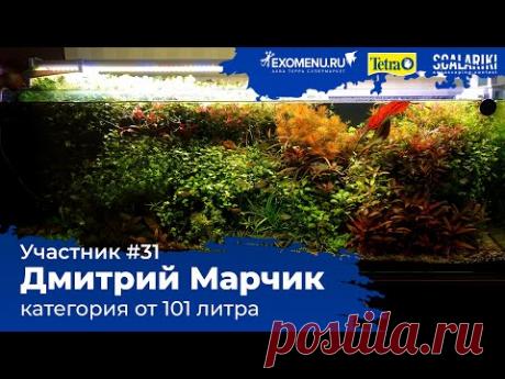 Травник 222 л Участник №31 в категории от 101 литра #Scalariki​ Aquascaping Contest 2021 - YouTube