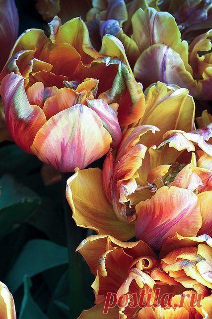 Найдено на сайте dianelikesart.tumblr.com.