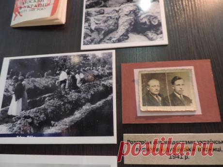 Алена МЕДВЕДЕВА: Расстрелы в тюрьмах в 1941-м – шок для Донбасса об истинных карателях - UNITPOST.COM