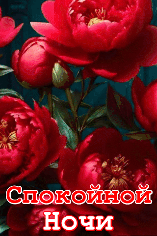 Спокойной ночи