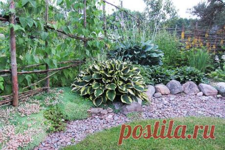 Дачные хитрости
Надежда Пищалова