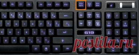 Если нажать Print Screen и затем ctrl V в диалоге Вконтакте, то в сообщение вашему собеседнику автоматически загрузится скриншот. | Страна Полезных Советов