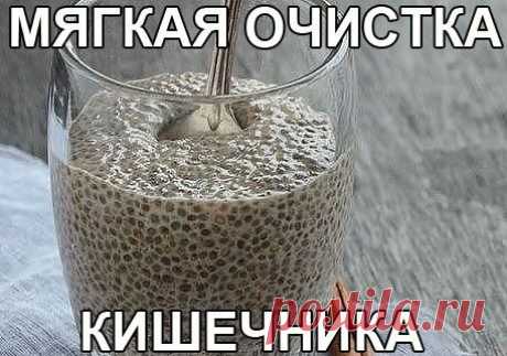 Диалоги