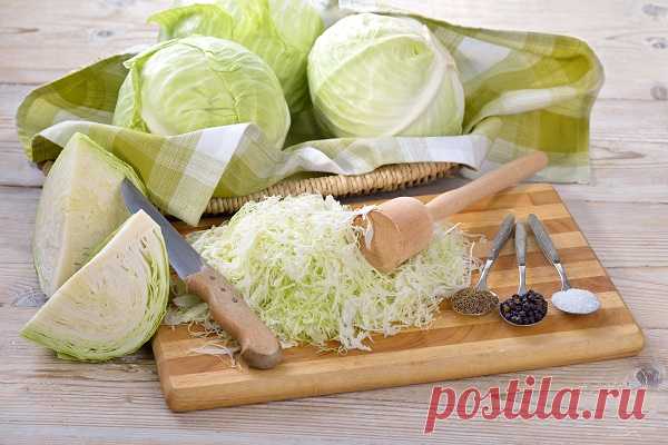 Три простых вкусных рецепта котлет из капусты