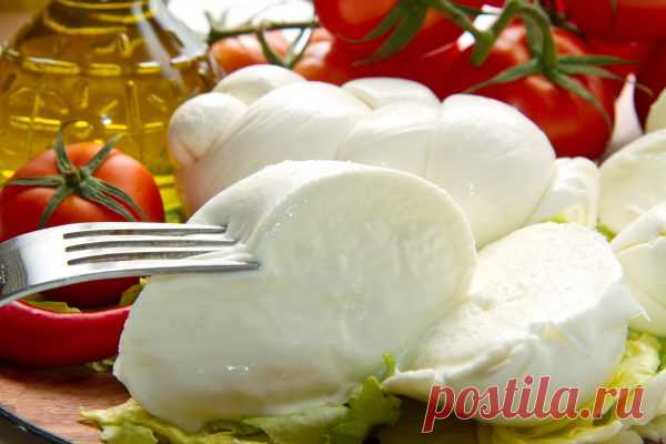 Как хранить моцареллу правильно в домашних условиях Этот вкусный сыр может быстро испортится. Мы сделали материал, в котором рассказали, как хранить моцареллу правильно в домашних условиях.