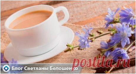 Польза и вред цикория заключаются в его влиянии на человеческий организм. Для женщин, которые хотят иметь идеальные волосы и кожу, цикорий просто незаменим.