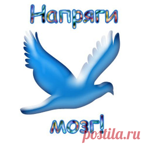 Интересные задачки на сообразительность.
