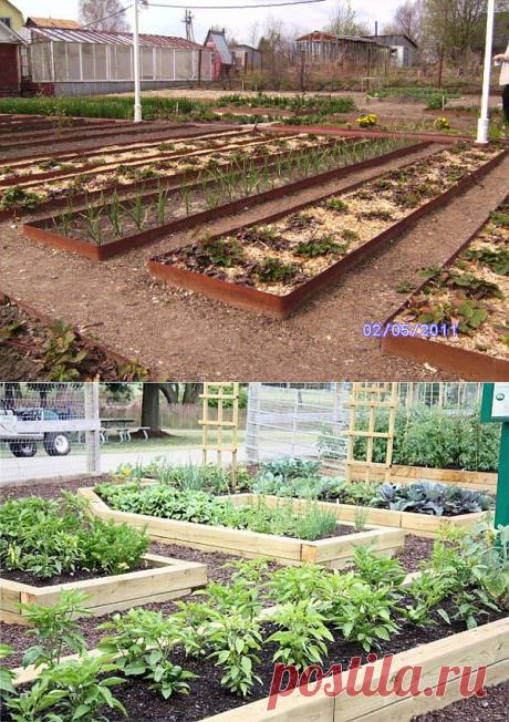 Ограждения для грядок: зачем, из чего и как. Сохраните любой пост с сайта 7dach.ru в Постиле и выиграйте призы от интернет-магазина Клуб Красоты. Чем больше постов - тем выше шансы. Розыгрыш состоится в понедельник, 30 января. В акции участвуют все посты, которые содержат этот текст или фото призов!