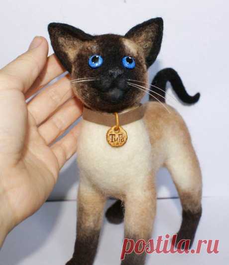 Сиамская кошка..