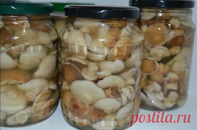 Одна из самых отличных закусок получается из маринованных маслят. Так же эти грибочки могут быть прекрасным дополнением к салатам. Прекрасно сочетаются с мясными  и рыбными блюдами, а так же с горячим жаренным картофелем. Так же часто их используют и для начинок таких изделий как пицца, пироги, блины. Несомненно, это одна из лучших заготовок, которая замечательно украсит даже праздничный стол.