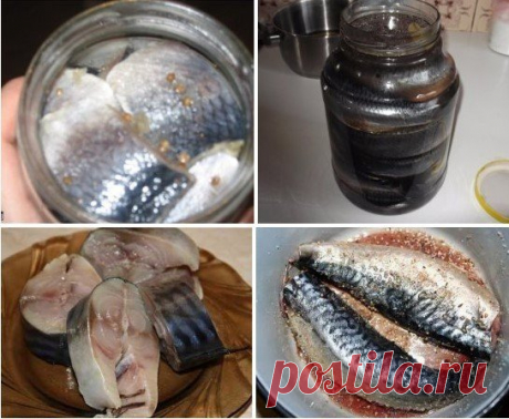 Как солить селедку в домашних условиях? 

Ах, соленая селедочка! Лишь при одном только упоминании этой простой и вкусной закуски взор туманится, и появляется непреодолимое желание срочно умять пару-тройку ломтиков селедки вприкуску с кусочком черного хлеба и тонким колечком репчатого лука. 

В чем же дело? Давайте учиться готовить эту рыбку, ведь посолить селедку в домашних условиях проще простого! 

Учитывая, что вкусы у всех разные, я приведу сразу несколько рецептов зас...