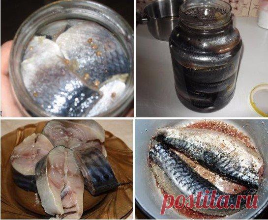 Как солить селедку в домашних условиях? 

Ах, соленая селедочка! Лишь при одном только упоминании этой простой и вкусной закуски взор туманится, и появляется непреодолимое желание срочно умять пару-тройку ломтиков селедки вприкуску с кусочком черного хлеба и тонким колечком репчатого лука. 

В чем же дело? Давайте учиться готовить эту рыбку, ведь посолить селедку в домашних условиях проще простого! 

Учитывая, что вкусы у всех разные, я приведу сразу несколько рецептов зас...