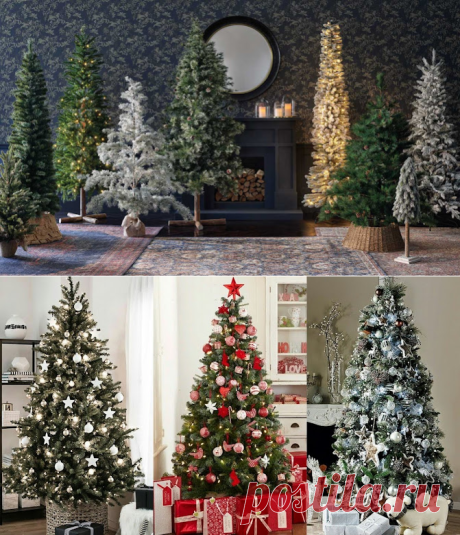 Si el Árbol tiene como Simbología nuestras Metas. Como está tu árbol?