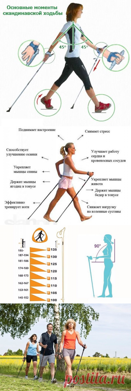СКАНДИНАВСКАЯ   ХОДЬБА.