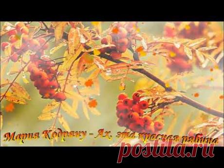 Мария Кодряну - Ах, эта красная рябина. Музыкальная открытка.