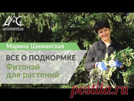 Подкормка растений: травяной настой