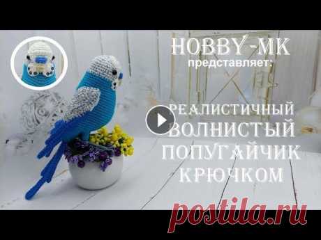 Волнистый попугай Кеша крючком ч1 (авторский МК Светланы Кононенко) В этом видео вы узнаете как связать тело реалистичного попугая крючком. Уровень сложности мастер-класса средний или выше среднего. Новичкам будет слож...