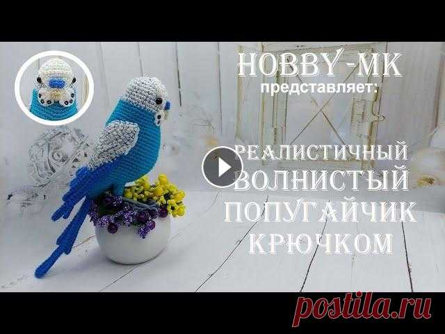 Волнистый попугай Кеша крючком ч1 (авторский МК Светланы Кононенко) В этом видео вы узнаете как связать тело реалистичного попугая крючком. Уровень сложности мастер-класса средний или выше среднего. Новичкам будет слож...