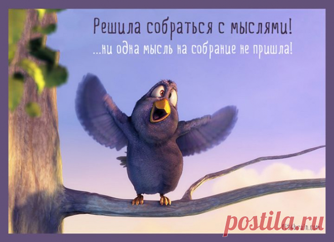 ***