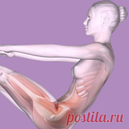 Статическое упражнение для рельефного пресса Статические или изометрические упражнения — это движения, при которых прорабатываемые мышцы напрягаются, но не двигаются. Тело в течение некоторого времени удерживается в статической позе за счет собственных сил. При выполнении изометрических упражнений работают самые глубокие слои мышечных тканей.