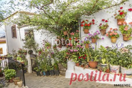 patios cordobeses interiores bonitos - Buscar con Google