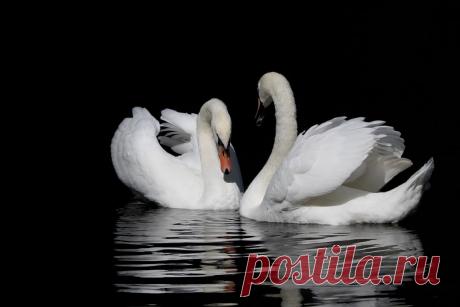 258114.jpg (1148×765)