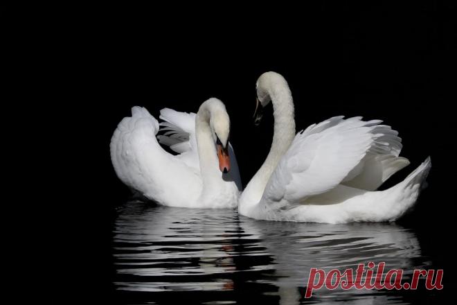 258114.jpg (1148×765)