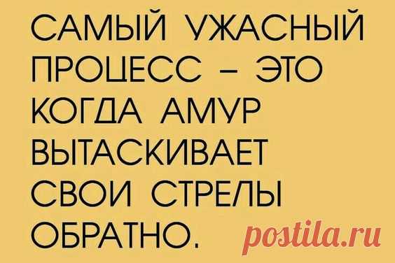 (41) Pinterest