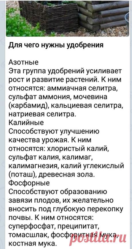 (32) Pinterest