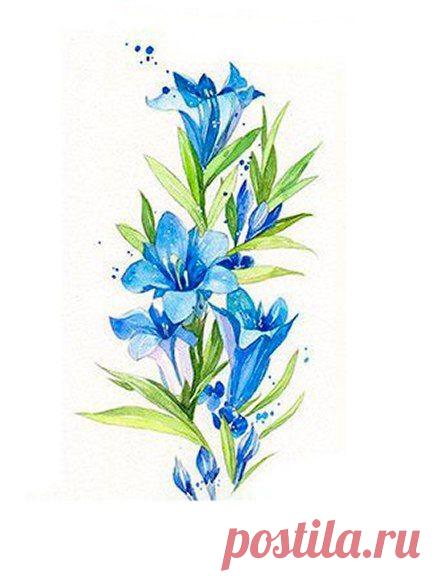 Рисуем полевые цветы акварелью