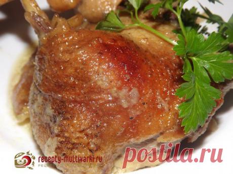 Утка с яблоками и сметаной в мультиварке - фото рецепт для Панасоник, Редмонд, Поларис