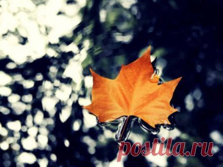 5 вещей, от которых нужно отказаться в сентябре 2020 года, чтобы стать счастливее В сентябре легко захандрить и впасть в осеннюю меланхолию. Поэтому нужно держать себя в тонусе. Лучшее решение в такой ситуации — отказаться от 5 вещей, которые перекрывают путь к счастью.