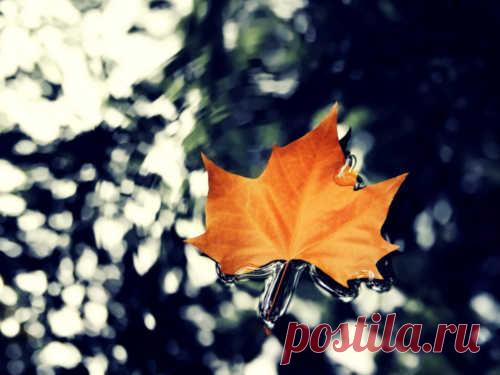 5 вещей, от которых нужно отказаться в сентябре 2020 года, чтобы стать счастливее В сентябре легко захандрить и впасть в осеннюю меланхолию. Поэтому нужно держать себя в тонусе. Лучшее решение в такой ситуации — отказаться от 5 вещей, которые перекрывают путь к счастью.