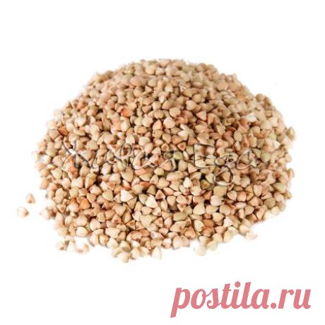 Гречка зеленая