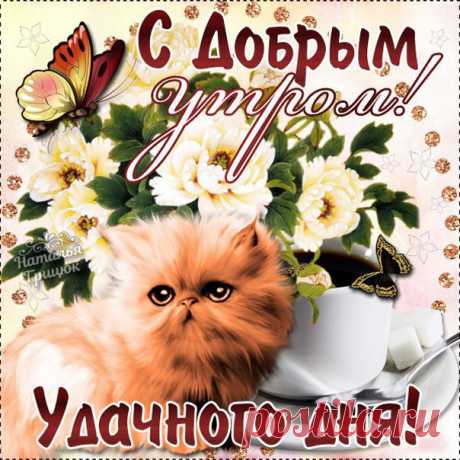 С добрым утром пожелания анимация Мерцающие открытки утро доброе хорошего дня