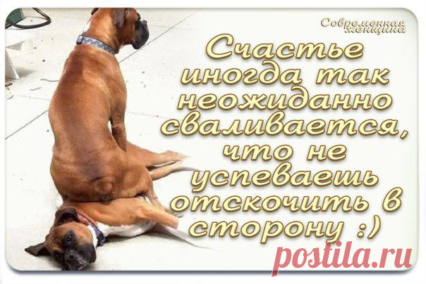Современная женщина