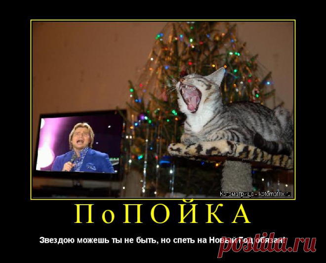Котоматрица: Раздел 