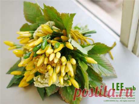 целозия фото цветов: 3 тыс изображений найдено в Яндекс.Картинках