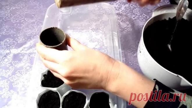 Одноклассники