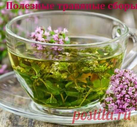 Полезные травяные сборы.