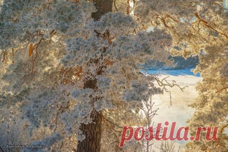 Рождественская сказка на реке Катунь, Горный Алтай. Автор фото: Светлана Казина.