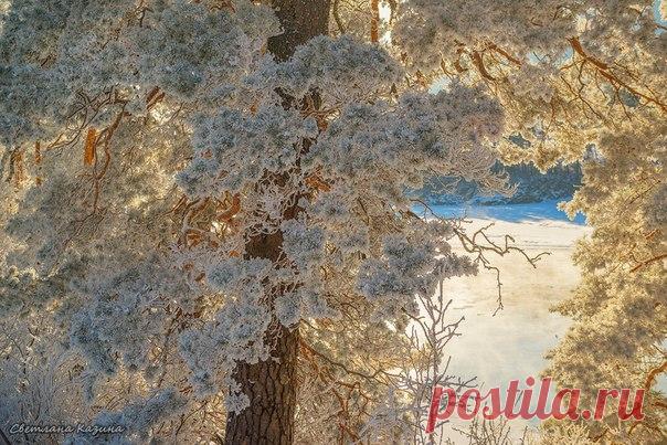 Рождественская сказка на реке Катунь, Горный Алтай. Автор фото: Светлана Казина.